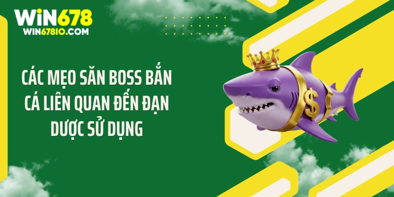 Các mẹo săn boss bắn cá liên quan đến đạn dược sử dụng