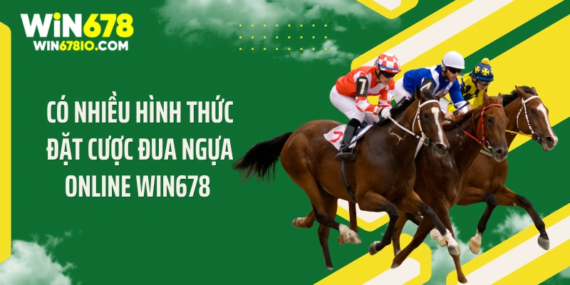 Có nhiều hình thức đặt cược đua ngựa online WIN678 