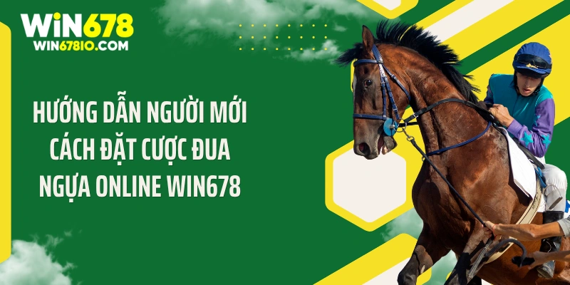 Hướng dẫn người mới cách đặt cược đua ngựa online WIN678