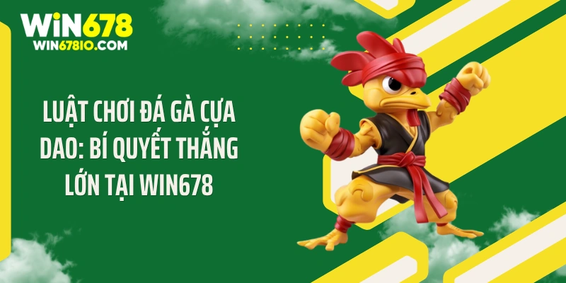 Luật Chơi Đá Gà Cựa Dao