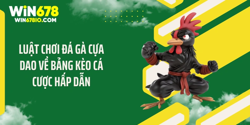 Luật chơi đá gà cựa dao về bảng kèo cá cược hấp dẫn