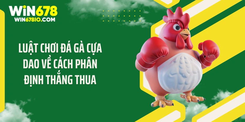 Luật chơi đá gà cựa dao về cách phân định thắng thua