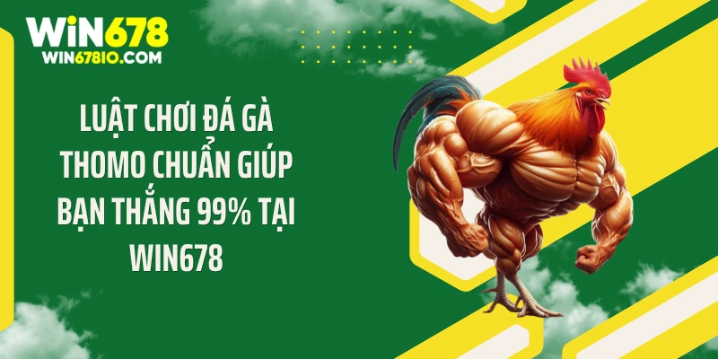 luật chơi đá gà Thomo