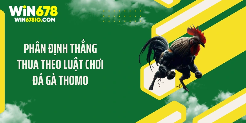 Phân định thắng thua theo luật chơi đá gà Thomo