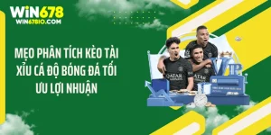 Mẹo Phân Tích Kèo Tài Xỉu Cá Độ Bóng Đá Tối Ưu Lợi Nhuận