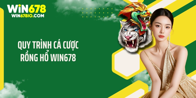 Quy trình cá cược rồng hổ Win678